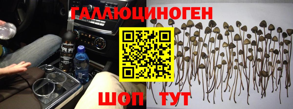 Галлюциногенные грибы мухоморы  Галлюциногенные грибы GOLDEN TEACHER  Вход с VPN  где купить наркоту  Когалым 